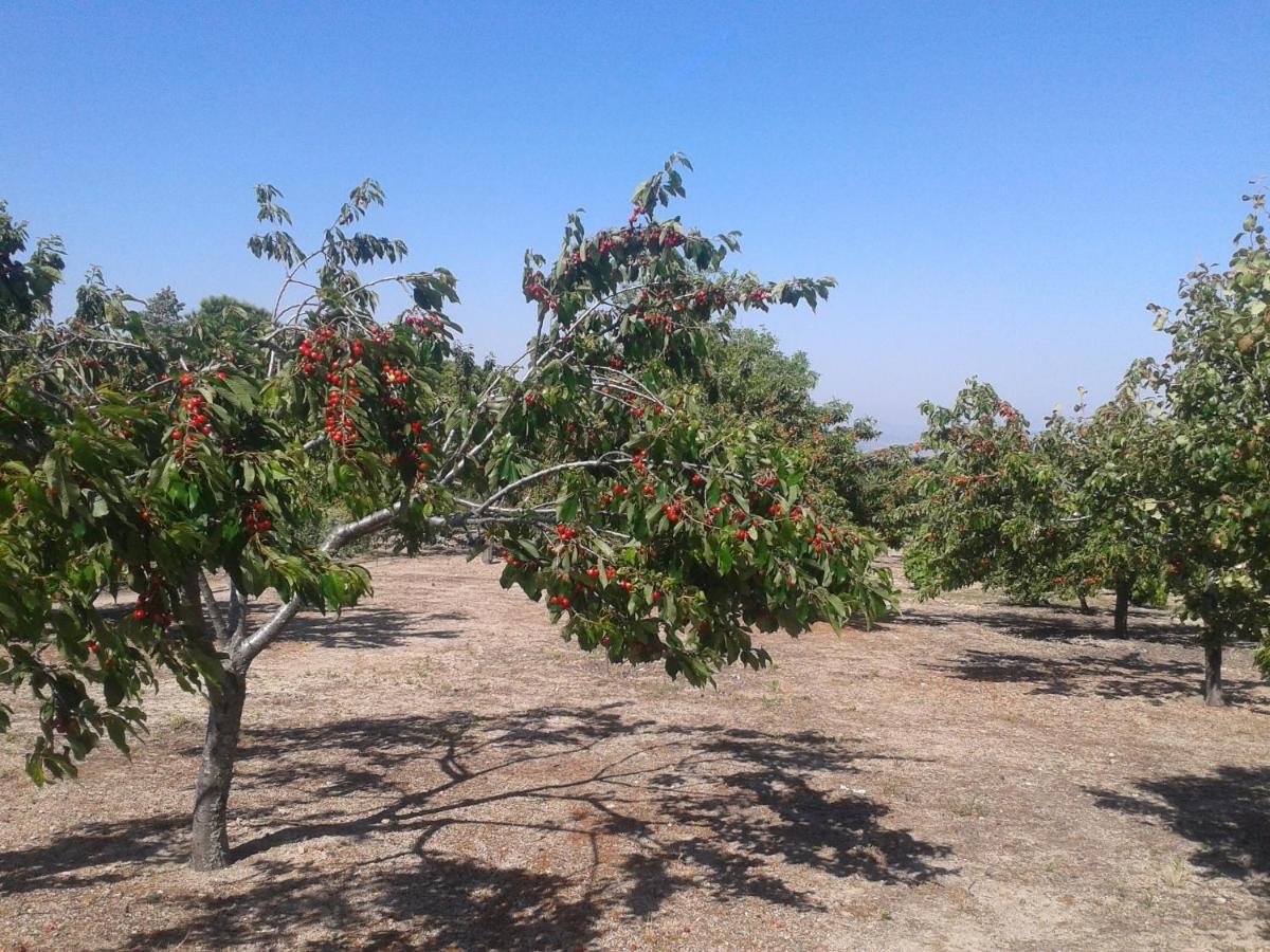 בית הארחה Montánchez 	El Majano מראה חיצוני תמונה